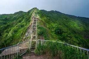 轻松告别黑头，清新肌肤