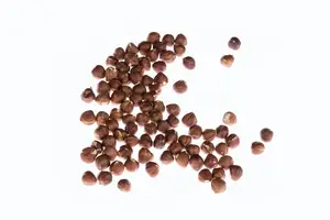 远离5种食物,阳痿不再困扰! 远离5种食物,阳痿不再困扰!