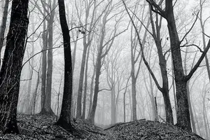 重拾希望！探索脑瘫治愈之路！