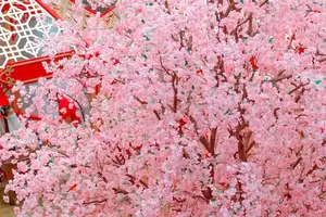 银杏 活力倍增,让你更 健康美丽! 银杏 活力倍增,让你更 健康美丽!