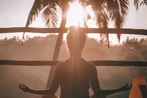 锁阳,男士必备的健康秘籍! 锁阳,男士必备的健康秘籍!