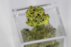 防脱发!这5种方法一定要试试! 防脱发!这5种方法一定要试试!