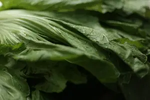 阳痿告别!食疗帮你重获男威力! 阳痿告别!食疗帮你重获男威力!
