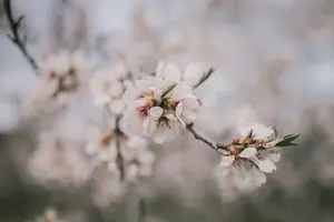 阳虚调理,这些食物不可错过! 阳虚调理,这些食物不可错过!