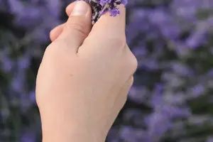 阳虚阴虚,身体不同调! 阳虚阴虚,身体不同调!