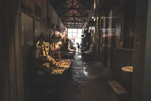 震撼人心!探索冯西恩的神秘世界 震撼人心!探索冯西恩的神秘世界