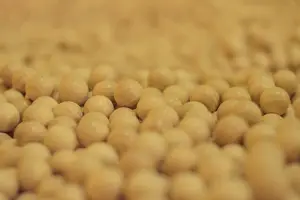 震撼!十大性感变态玩具,刺激你的所有欲望! 震撼!十大性感变态玩具,刺激你的所有欲望!