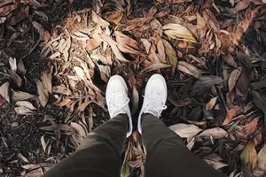 预防灰指甲?了解形成原因! 预防灰指甲?了解形成原因!