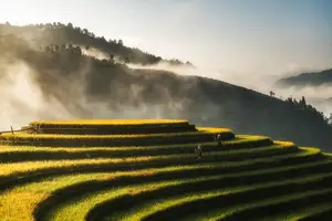 预防胆道蛔虫病，关注健康饮食！