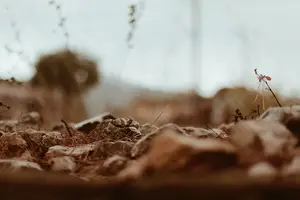 高钙血症,你了解吗? 高钙血症,你了解吗?