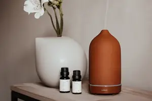 鼻子挺起来! 鼻子挺起来!