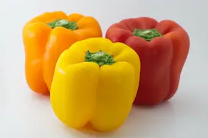 六种蔬菜,不宜糖尿病者食用! 六种蔬菜,不宜糖尿病者食用!