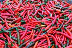 去除舌苔厚，呼吸清新自信！