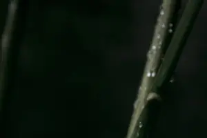 成长不止,身高更进一步! 成长不止,身高更进一步!