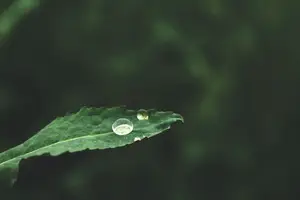 拉屎流血？别慌，无痛惊喜！