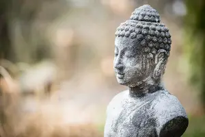 告别抬头纹,焕发青春光彩! 告别抬头纹,焕发青春光彩!