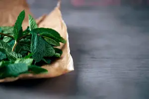 告别狐臭,轻松拥有清新自信! 告别狐臭,轻松拥有清新自信!