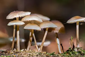 拒绝青春痘,轻松拥有水嫩肌! 拒绝青春痘,轻松拥有水嫩肌!