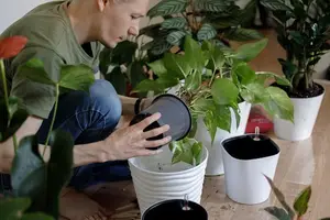 完美曲线,假体隆胸大放光彩! 完美曲线,假体隆胸大放光彩!