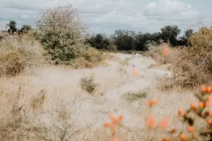 揉胸，舒缓疲惫一天的压力！