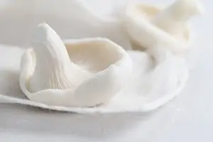 孕妇吃菌类,宝宝聪明又营养! 孕妇吃菌类,宝宝聪明又营养!