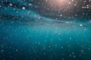 夏饮降火汤，热度一扫而空。