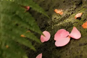 惹人烦的螨虫？轻松消除症状！