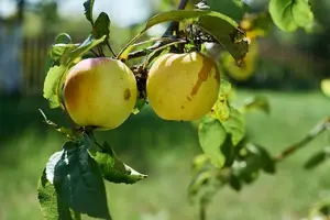 发现糖尿病早期信号，保护健康从现在开始！