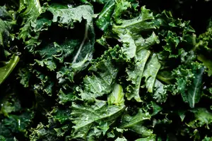 低压必备，多吃降压菜！