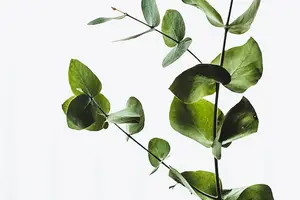 压力大到不知所措?这些产品帮你轻松缓解! 压力大到不知所措?这些产品帮你轻松缓解!