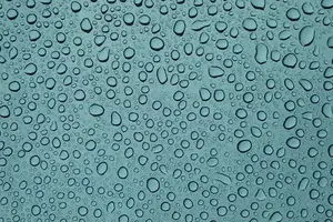 快速解读泌尿感染症状，守护健康无忧！