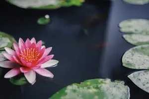 告别尴尬!来月经也能轻松洗头! 告别尴尬!来月经也能轻松洗头!