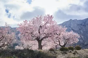 宝宝快长大,这8种健康美味辅食不能错过! 宝宝快长大,这8种健康美味辅食不能错过!
