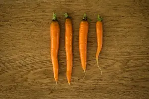 呼吸更畅快!气胸饮食指南 呼吸更畅快!气胸饮食指南