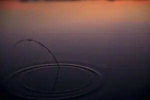 揭秘心疼，让你的心得到温柔呵护