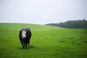 小心腹泻！这些食物禁止食用！