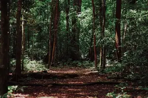 阻挡风沙，呵护健康，尽在防风功效！