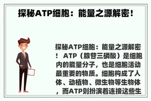 探秘ATP细胞：能量之源解密！