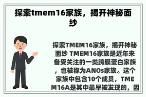 探索tmem16家族，揭开神秘面纱