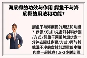 海底椰的功效与作用 鳄鱼干与海底椰的用法和功能？