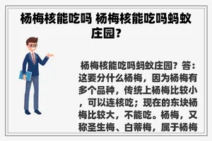 杨梅核能吃吗 杨梅核能吃吗蚂蚁庄园？