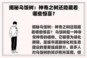 揭秘乌饭树：神奇之树还隐藏着哪些惊喜？