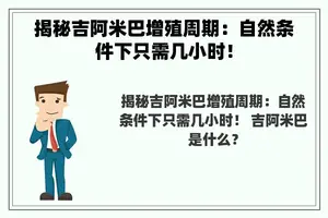 揭秘吉阿米巴增殖周期：自然条件下只需几小时！