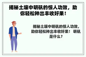 揭秘土壤中明矾的惊人功效，助你轻松种出丰收好果！