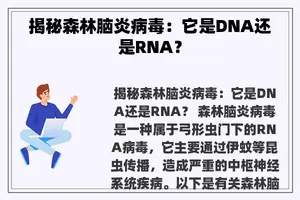 揭秘森林脑炎病毒：它是DNA还是RNA？