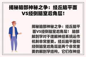 揭秘脑部神秘之争：经丘脑平面VS经侧脑室后角层！