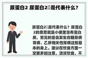 尿蛋白2 尿蛋白2➕是代表什么？