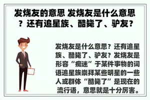 发烧友的意思 发烧友是什么意思？还有追星族、酷毙了、驴友？