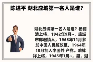 陈进平 湖北应城第一名人是谁? 陈进平 湖北应城第一名人是谁?