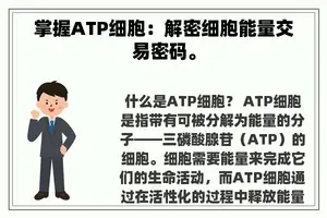 掌握ATP细胞：解密细胞能量交易密码。